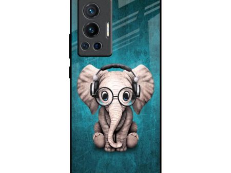 Adorable Baby Elephant Glass Case For Vivo X70 Pro For Discount